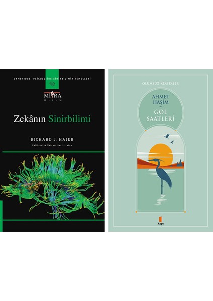 Zekanın Sinirbilimi + Göl Saatleri
