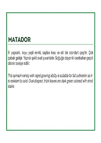 Tarım Ata Tohumu Yerli Ispanak Tohumu 500 Adet Tohum fiyatları