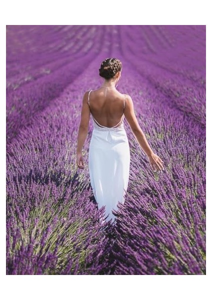 Farmasi Lavanta Vücut Losyonu 200 ml fiyatları