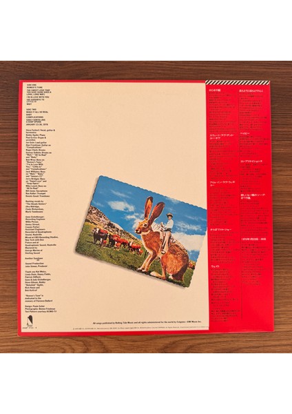 Steve Forbert – Jackrabbit Slim fiyatları