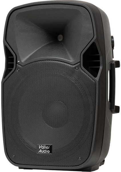 S1150 Portatif Taşınabilir Aktif Amfi Hoparlörlü Kablosuz Çift El Mikrofonlu Ses Sistemi fiyatları