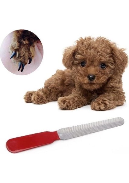 Evcil Hayvan Tırnak Makası ve Törpü Seti Manikür Pedikür Pati Bakım Aleti Kaymaz Sap indirimleri