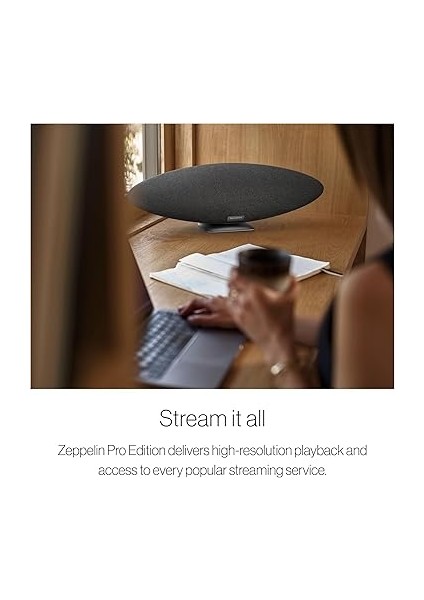 & Wilkins Zeppelin Pro Edition Space Grey Hoparlör fırsatları