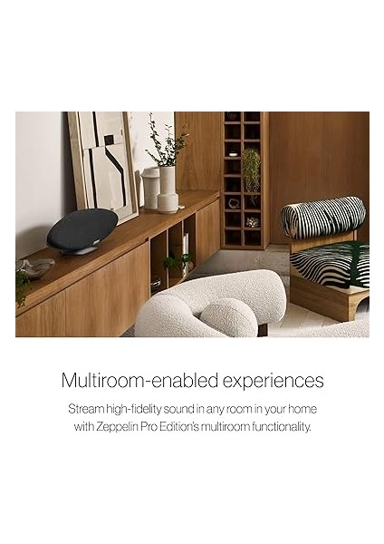 & Wilkins Zeppelin Pro Edition Space Grey Hoparlör indirimleri