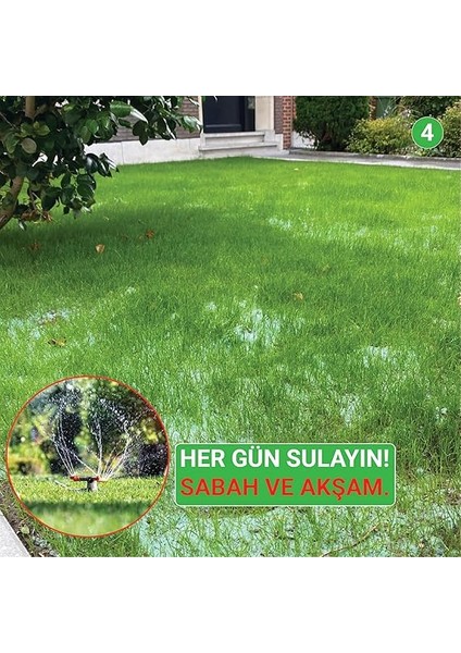 Sunshine Hot Tohumlu Çim Rulosu 10 M2 Organik Gdo'suz indirimleri