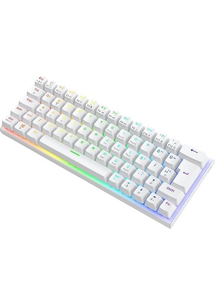 Runner Ful Rgb Mekanik Gaming Oyuncu Klavyesi Blue Switch Q Beyaz indirimleri