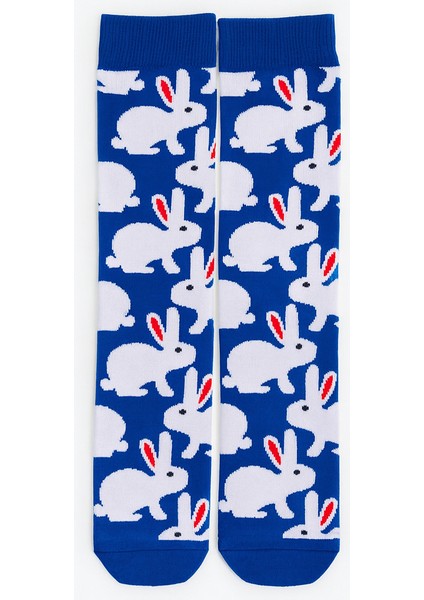 Tavsan Renkli Çorap