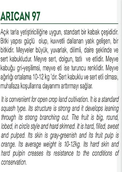 Tarım Ata Tohumu Yerli Balkabağı 10 Adet Tohum fiyatları