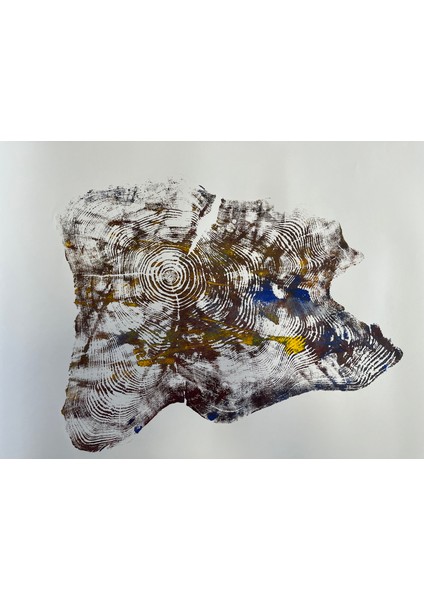 Ağaç Yaş Halkası Baskı Çalışması Poster Tablo Resim Sanat fırsatları