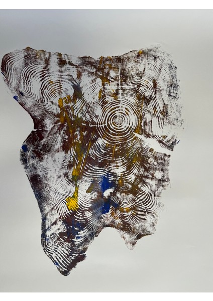 Ağaç Yaş Halkası Baskı Çalışması Poster Tablo Resim Sanat indirimleri