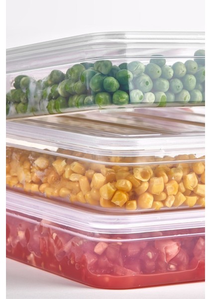 3’lü Derin Dondurucu Organizer Set – Şeffaf Buzluk Saklama Kutuları (1 Büyük + 2 Küçük) fırsatları