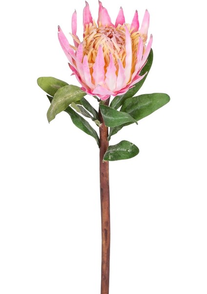 Yapay Protea Çiçeği Pembe 60 Cm.