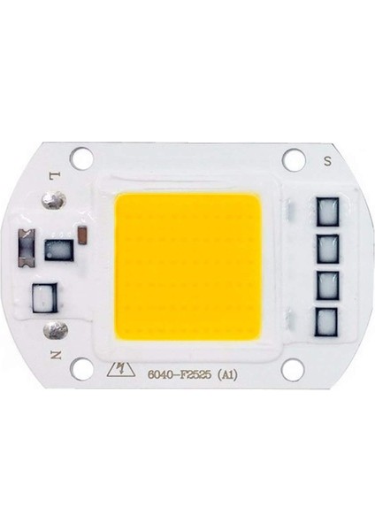 50W AC220V Cob Led-Projektör Uyumlu