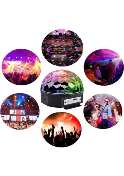 Disko Lambası Büyük - Lisinya fiyatları