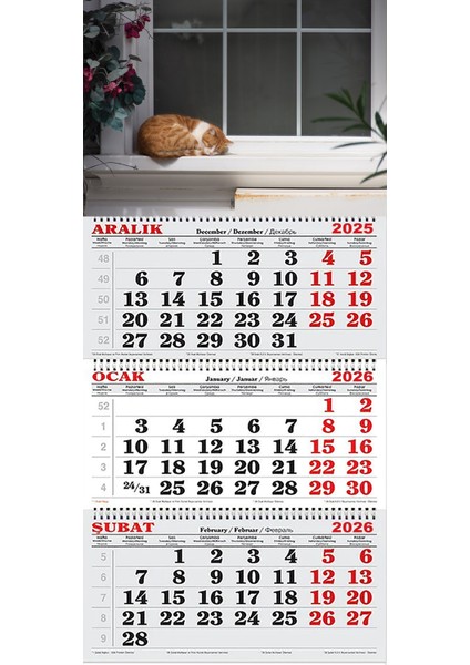 2026 Yılı Gemici Takvimi-Camın Önündeki Kedi