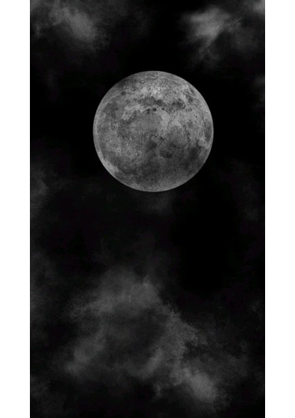 Kurt Kapı Direk Kaplama Folyosu Baskılı Sticker Sağ-Sol 2 Adet 22*50 cm