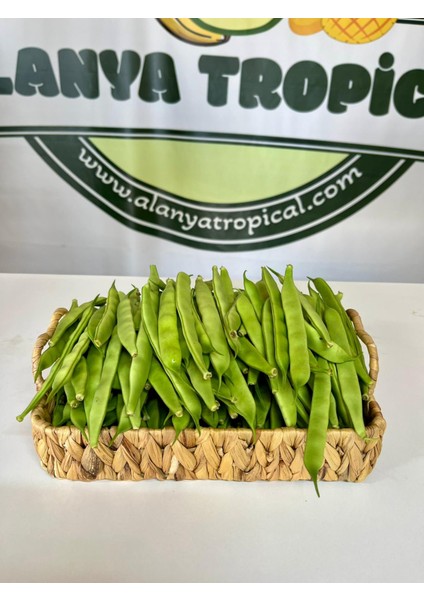 Şeker FASÜLYE(500GR)