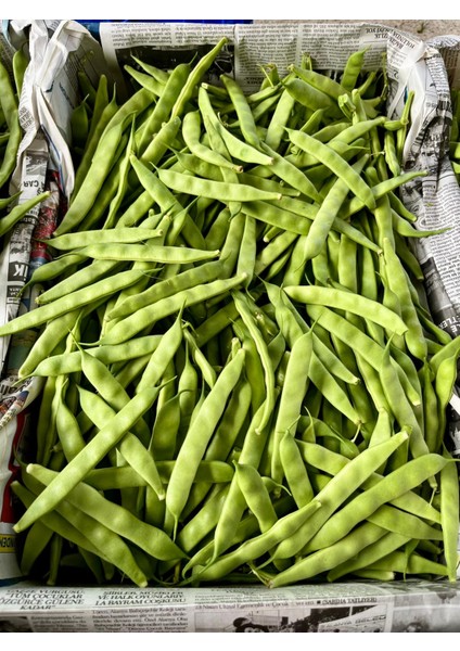 Şeker FASÜLYE(500GR) fiyatları