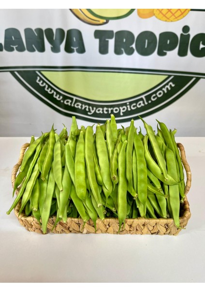 Şeker FASÜLYE(500GR) modelleri