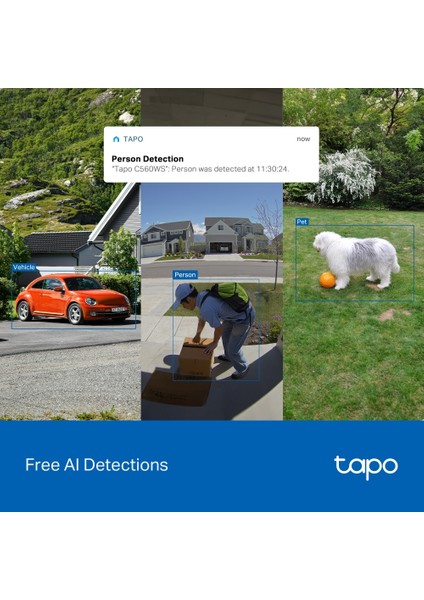 Tapo C560WS | 4K 8mp Dış Mekan Wi-Fi 6 Güvenlik Kamerası | Yerel Yüz Tanıma | Aı Insan/evcil Hayvan/araç Algılama | Starlight Renkli Gece Görüşü | IP66 Su Geçirmez | Microsd & Bulut Depolama