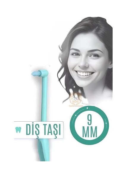 Bfs Diş Taşı Temizleyici