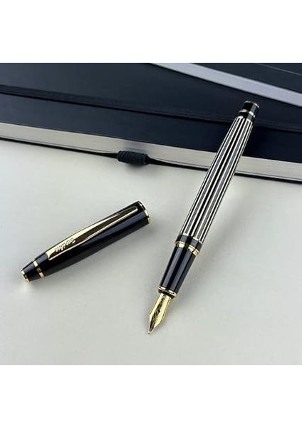 35L Dolmakalem Çizgi Desenli Siyah Altın M Uç fiyatları