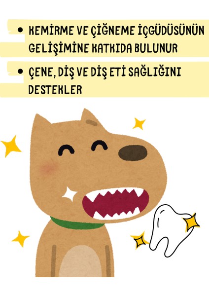 Kurutulmuş Diş Kaşıma 2'lisi Köpek Ödülü modelleri