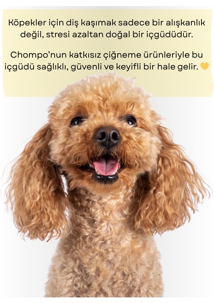 Kurutulmuş Diş Kaşıma 2'lisi Köpek Ödülü indirimleri