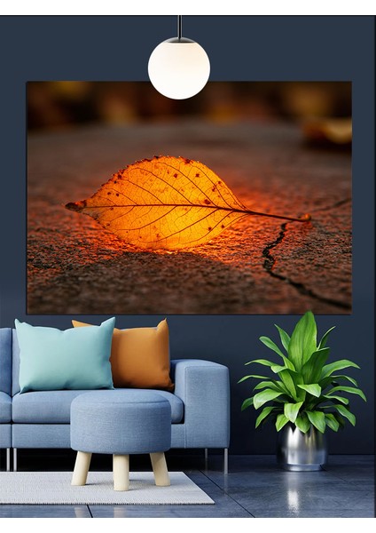 Günbatımında Kuru Yaprak Dekoratif Kanvas - Mdf Ahşap Tablo