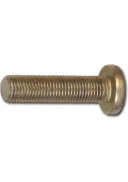 Renault 12 Kapı Kolçak Vidası Düz Ağız 10 Adet