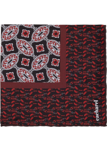 Erkek Bordo Mikro Mendil 50317184-900 modelleri