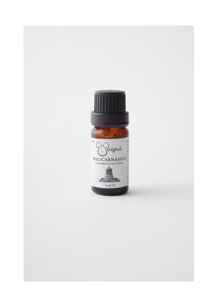 Woolyball Organik Esansiyel Yağlar Seti, 4 Şişe, Lavanta, Biberiye, Lavanta/portakal/sedir, Biberiye/portakal/sedir, Yün Çamaşır Topu Hediye fiyatları