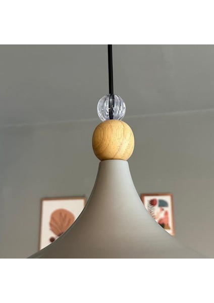 Champion Gri Küçük Şeffaf Boncuk Tekli Avize Sarkıt Salon Mutfak Cafe Butik Aydınlatma Avizeler indirimleri