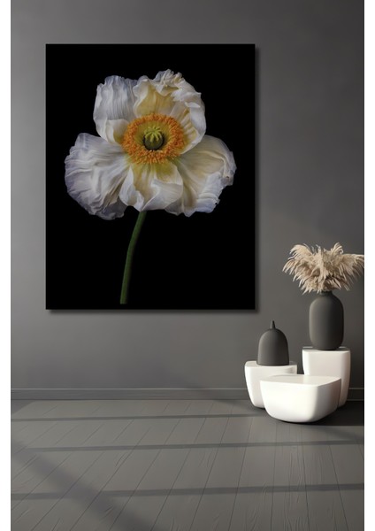 Dekoratif Ahşap Dikdörtgen Tablo Beyaz Gelincik Çiçeği Çerçeve Görünümlü