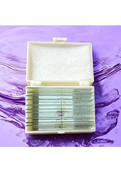 Daimi Preparat Seti Eğitim Ürünleri İçin 5 Parça Kaliteli Malzemeden Üretilmiştir