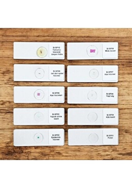 Daimi Preparat Seti Eğitim Ürünleri İçin 5 Parça Kaliteli Malzemeden Üretilmiştir