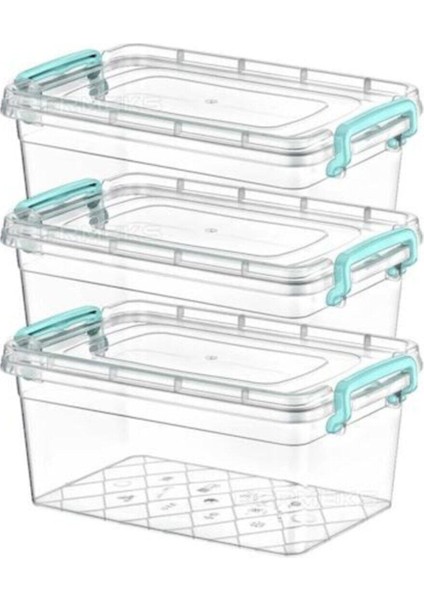 Plastik Kutu Kapaklı Taşıma Saplı Saklama Kabı 3.5 Litre 3lü Set