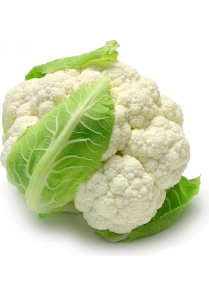 Garden Ithal Yüksek Verimli Karnabahar Tohumu 100 Ad. Tohum