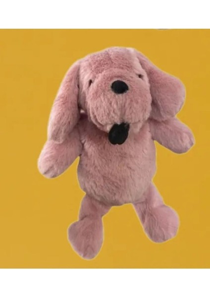 Sevgiliye Özel Salaş Köpek Hediye Özel Tasarım - 35 cm