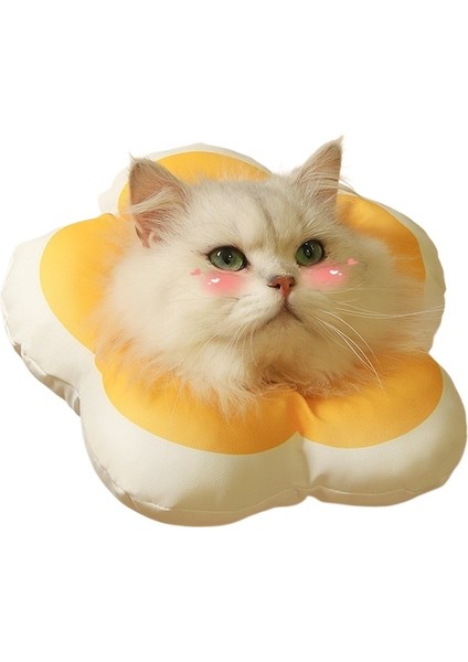 Küçük Kedi Çiçek Eşarp Lisa Beyaz Yalama Önleyici Halka (Yurt Dışından)