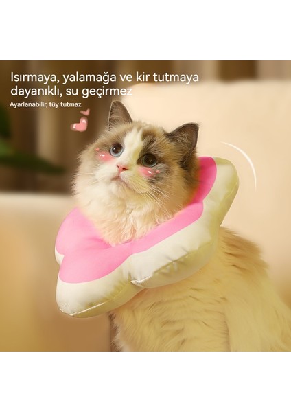 Küçük Kedi Çiçek Eşarp Lisa Beyaz Yalama Önleyici Halka (Yurt Dışından) fiyatları