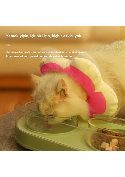 Küçük Kedi Çiçek Eşarp Lisa Beyaz Yalama Önleyici Halka (Yurt Dışından) indirimleri