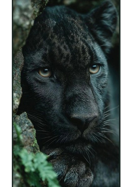 Jack Skellington Kapı Direk Kaplama Folyosu Baskılı Sticker Sağ-Sol 2 Adet 22*50 cm