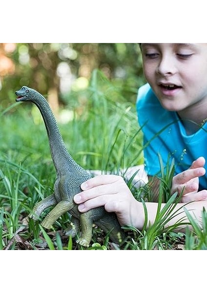 Brachiosaurus fiyatları