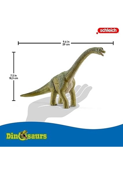 Brachiosaurus indirimleri