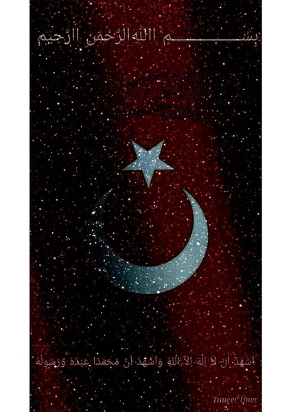 Türk Bayrağı ve Kurt Kapı Direk Kaplama Folyosu Baskılı Sticker Sağ-Sol 2 Adet 22*50 cm