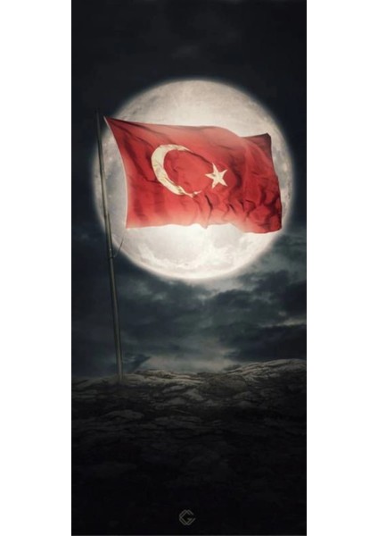 Türk Bayrağı Kapı Direk Kaplama Folyosu Baskılı Sticker Sağ-Sol 2 Adet 22*50 cm