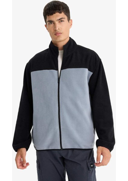 Relax Fit Yarım Balıkçı Yaka Fermuarlı Polar Hırka F0449AX25AU modelleri