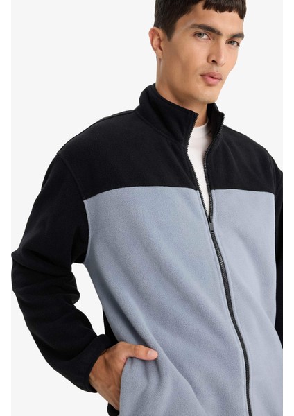 Relax Fit Yarım Balıkçı Yaka Fermuarlı Polar Hırka F0449AX25AU fırsatları