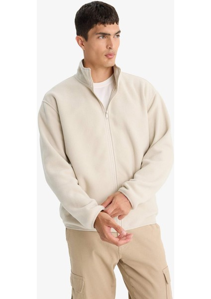 Relax Fit Yarım Balıkçı Yaka Fermuarlı Polar Hırka F0446AX25AU modelleri